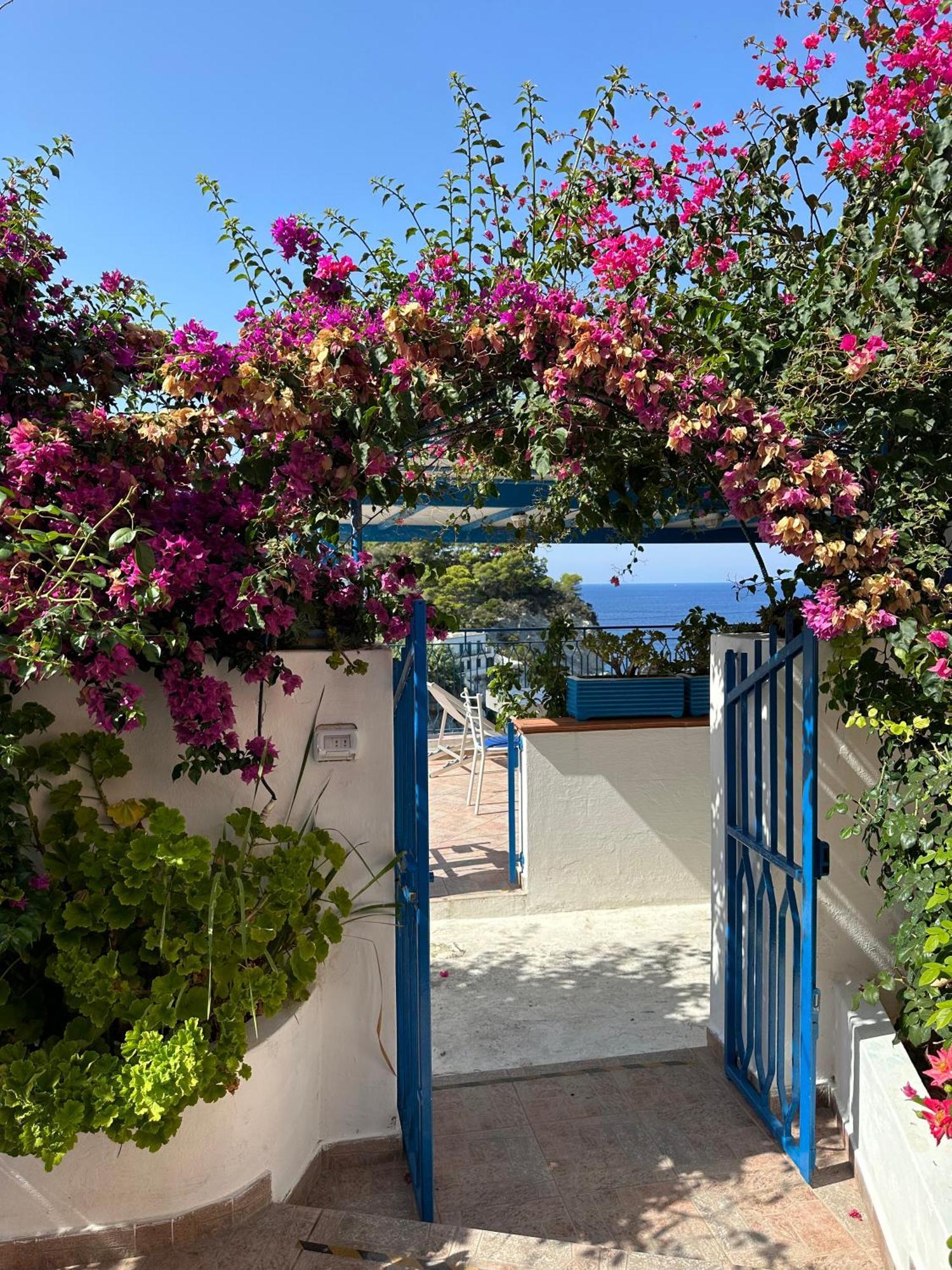 Casa Talento Villa Ponza Dış mekan fotoğraf